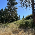 Hillside