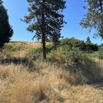 Hillside