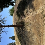 Hillside