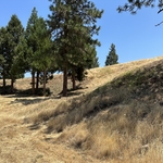Hillside