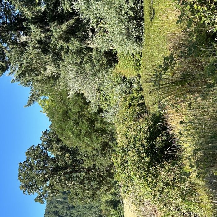 Fenceline
