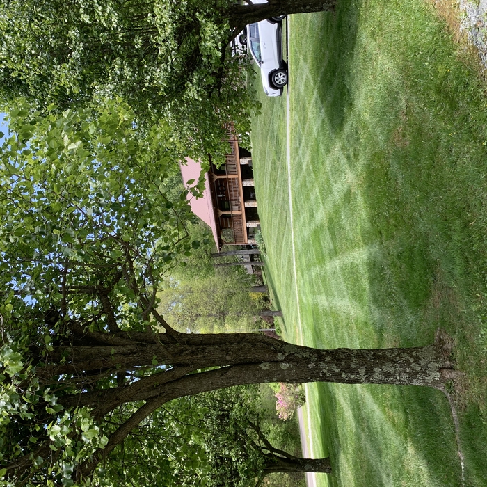 Lawns striped