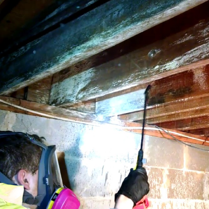 Treating for Mold