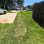Drainage System