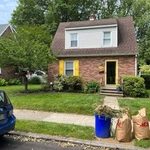 Tree and Shrub Pruning (Before)