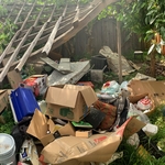 Starting backyard clean-out