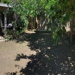 Finshing debris removal