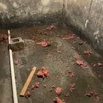 Insulation Job