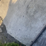 Corner of Driveway- After
