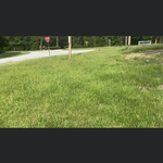 Before mowing