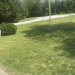 Mowing and Edging