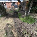 After excavation
