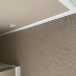Carpet cleaning