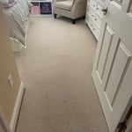 Carpet cleaning