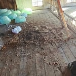 Clean out and disinfect