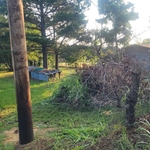Fence clean out / brush removal