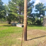 Fence clean out / brush removal