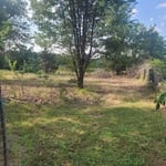 Land Management