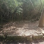 Bamboo clean up
