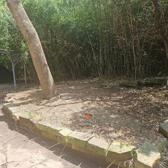 Bamboo clean up