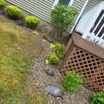 Side of house