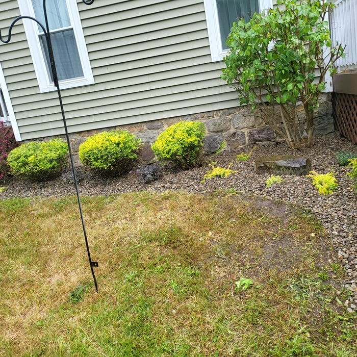 Side of house