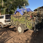 Junk Removal