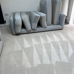 Carpet cleaning