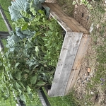 Raised bed Install