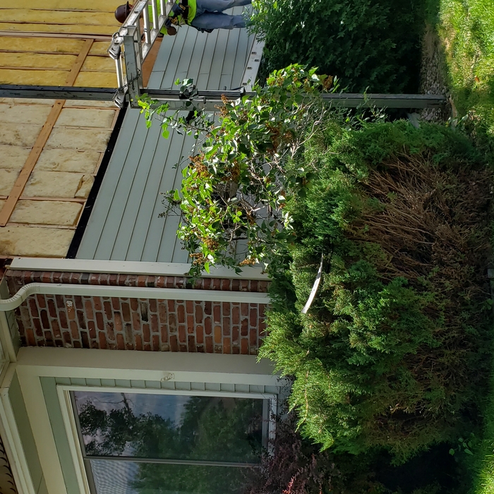 removed and replace siding