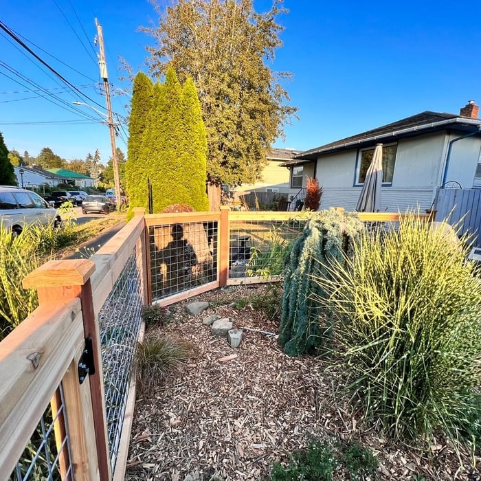 Hogwire Fence