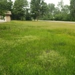 BEFORE: Mowing/Manicuring Yard