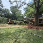 Removing the GIANT