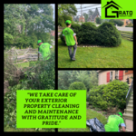 Bush removal, landscaping, mulching