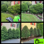 Landscaping, mulching, weeding, trimming.