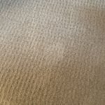 Pet Stain