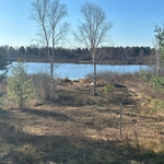 Clearing