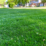 Residential Mow