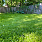 Residential Mowing