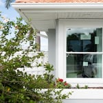 New Windows