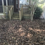 Leaf cleanup