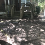 Leaf cleanup