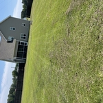 Lawn care mowing