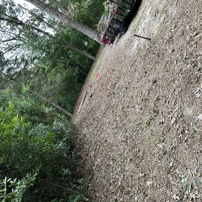 Backyard clean up