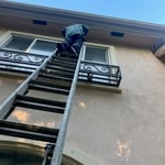 BEEHIVE REMOVAL