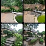 Shrubs