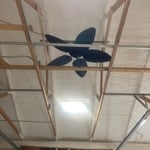 photos of my work