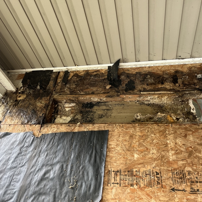 Rotted Wall