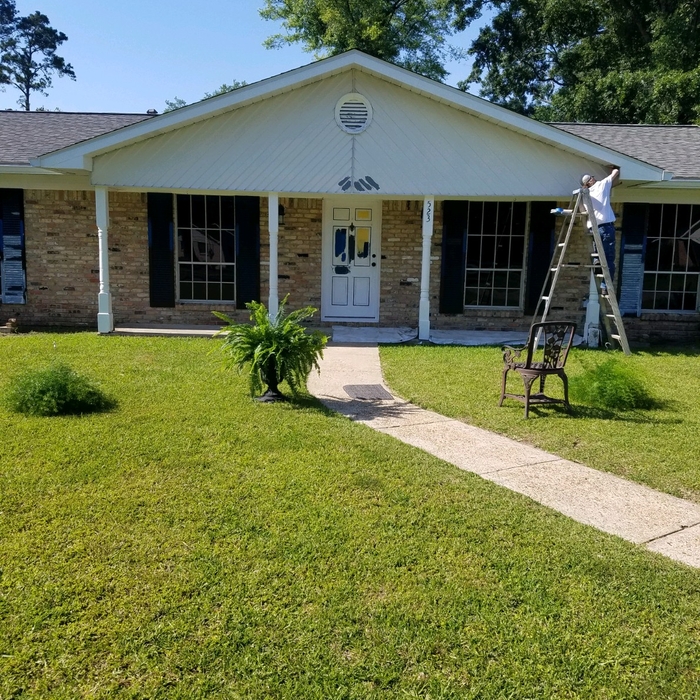 Exterior home paint