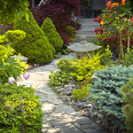 Garden & Walkway
